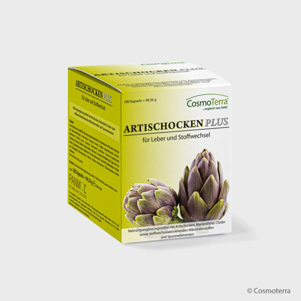 ARTISCHOCKEN PLUS – Bild 2