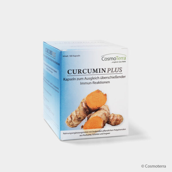 CURCUMIN PLUS – Bild 2