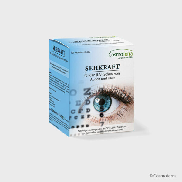 SEHKRAFT – Bild 2