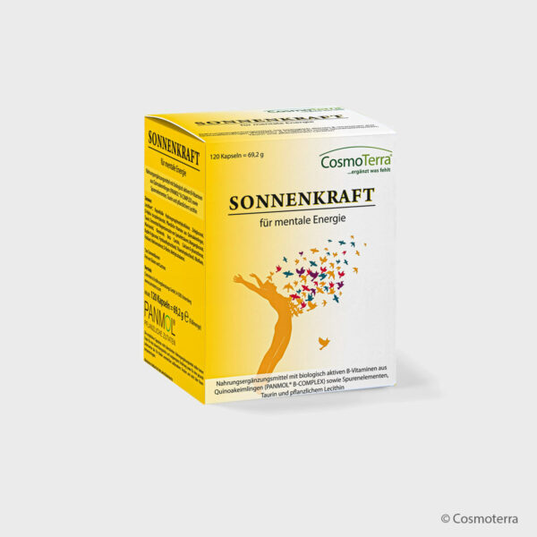 SONNENKRAFT – Bild 2